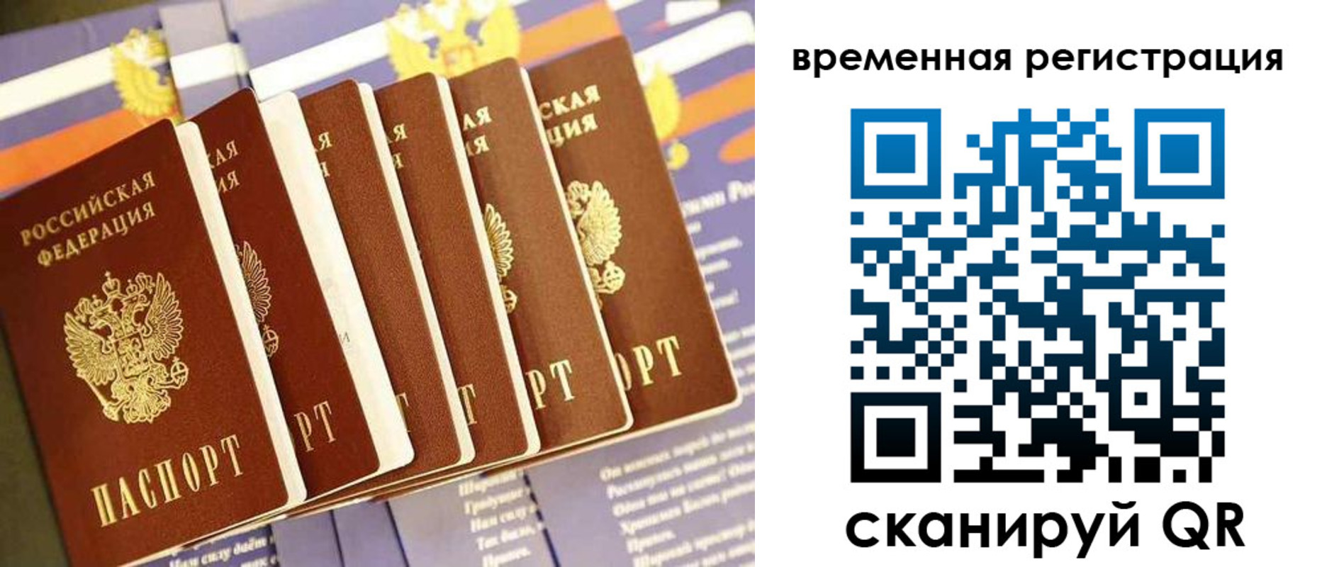 временная регистрация поиск в Алексине